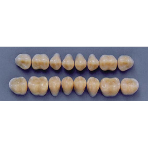 ULTRADENT POST. 31M/A3 UPPER (1x8 CARD) Card