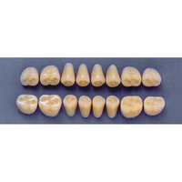 ULTRADENT POST. 31Z/59 UPPER (1x8 CARD) Card
