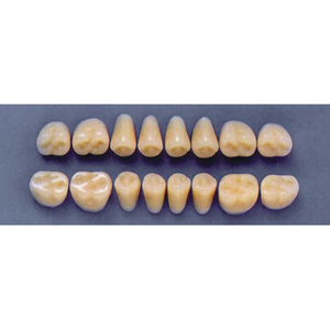 ULTRADENT POST. 31Z/59 UPPER (1x8 CARD) Card
