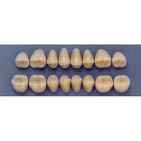 ULTRADENT POST. 32F/66 LOWER (1x8 CARD) Card