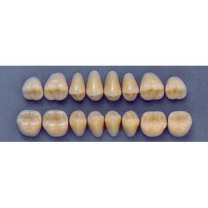 ULTRADENT POST. 32F/A3 UPPER (1x8 CARD) Card
