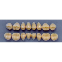 ULTRADENT POST 32L/A2 LOWER (1x8 CARD) Card