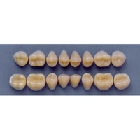 ULTRADENT POST 32M/67 LOWER (1x8 CARD) Card