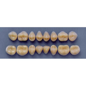 ULTRADENT POST 32M/67 LOWER (1x8 CARD) Card