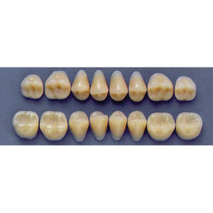 ULTRADENT POST. 33F/65 UPPER (1x8 CARD) Card