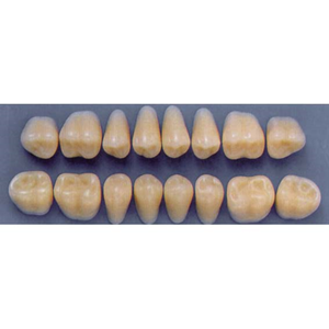 ULTRADENT POST. 33L/65 UPPER (1x8 CARD) Card