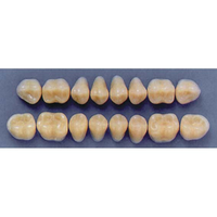 ULTRADENT POST. 33M/65 UPPER (1x8 CARD) Card