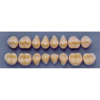 ULTRADENT POST 34M/66 LOWER (1x8 CARD) Card