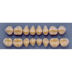ULTRADENT POST 34M/65 UPPER (1x8 CARD) Card