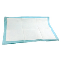 Incontinence Underpad, 5-Ply Tissue, 60 x 40cm, 170ml, Bluey, 300/Carton Carton