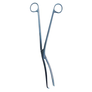 Livingstone Cheatle Sterilising Forceps, 25cm, Each Each