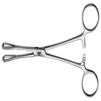 Adler Rampley Sponge Holding Forceps, 24.2cm, Stainless Steel, Each Each